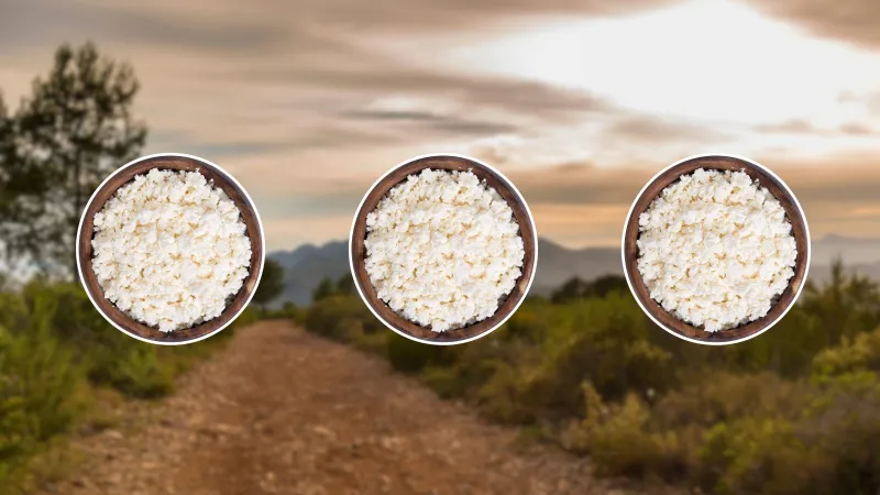 3 Dietitian-Approved Cottage Cheese Snacks to Take on Your Next Hike