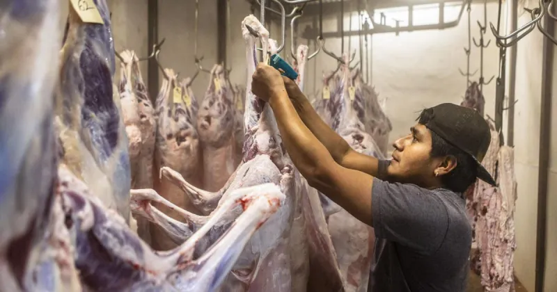 Federal government OK's New Mexico meat inspection program