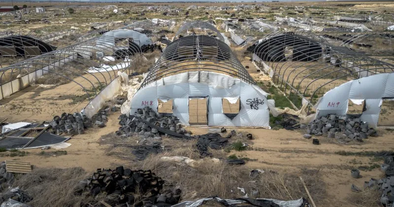 'Hotspot for illegal cannabis': Another Torrance County property raided