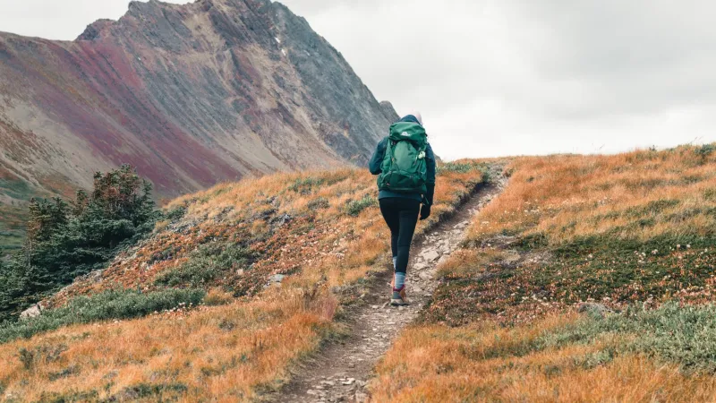 "Who Doesn't Have Two More Minutes?" How Small Daily Habits Can Extend Your Lifespan