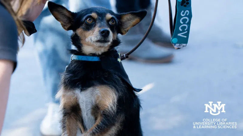 Paws and Reflect: Cuddle a Canine event returns for the fall semester