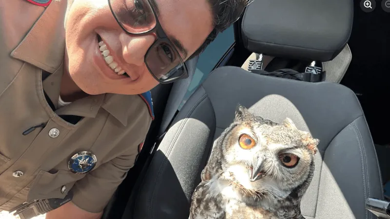 Texas trooper rescues injured owl along I-10 near Van Horn