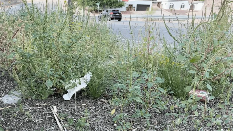 El Paso's Adopt-A-Street program receives 37 applications in first month