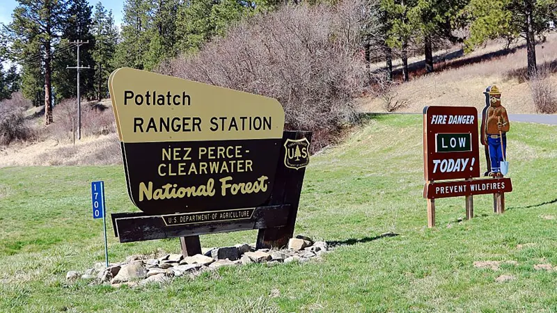 A Federal Judge Just Blocked Trump's Plan to Overhaul the U.S. Forest Service