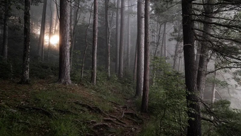 Hike and Bike with the Spirits of Pennsylvania's Ghost Town Trail