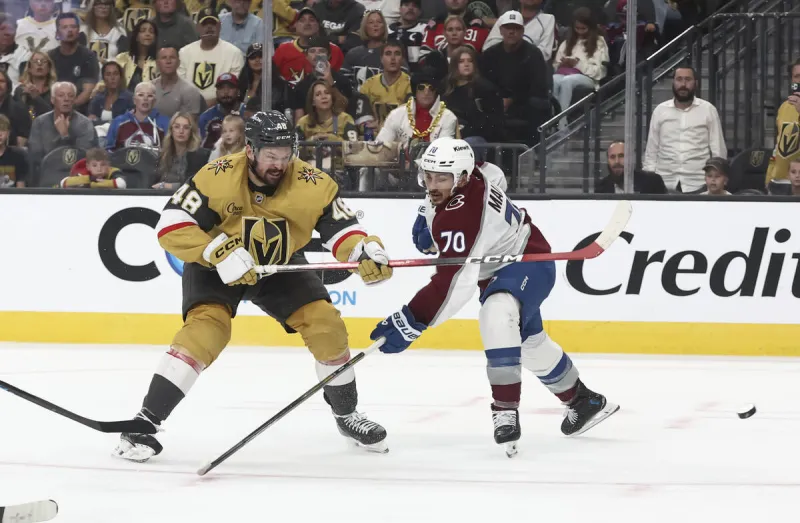 Knights notebook: Hertl's timely goal, MacKinnon hobbled highlight Game 3