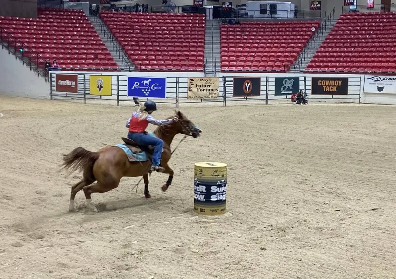 Horses mistreated at competition at South Point, association says