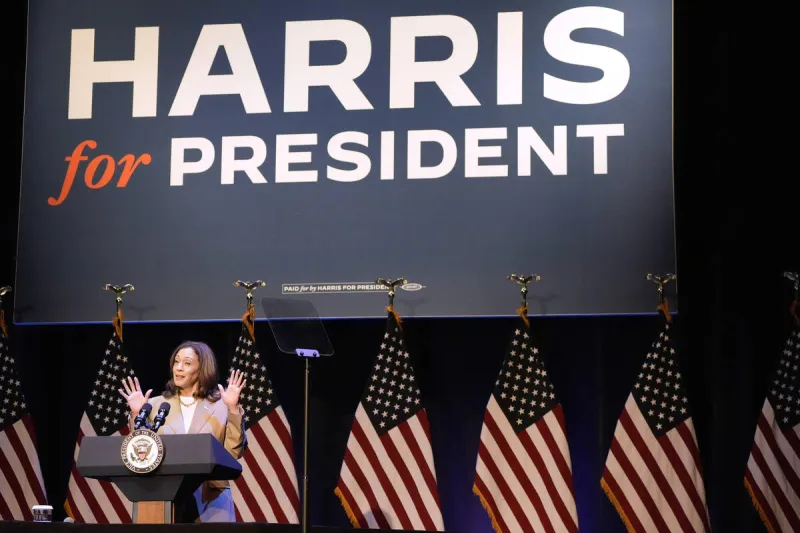 BYRON YORK: The DNC autopsy: Did Democrats really want to know?