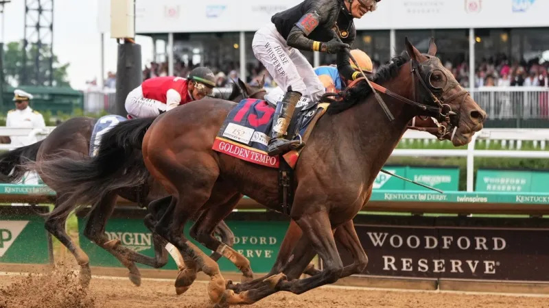 VOTE: Do you think the Gaming control board has done enough to ensure racehorse safety?