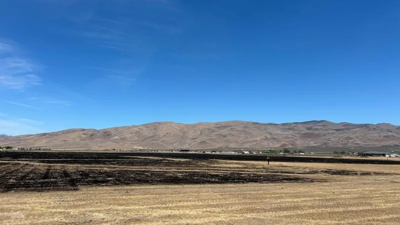 Forward progress stopped on brush fire on Grass Valley Road in Palomino Valley