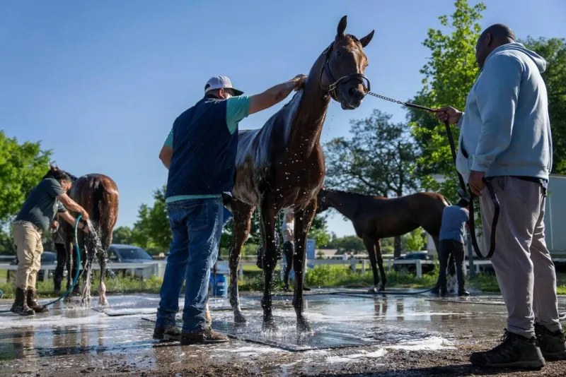 Forget the Derby, Belmont field looks different at same length