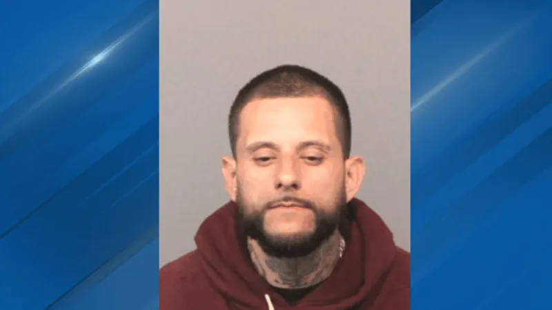 Man sentenced to 8 to 21 years in prison after 10-felony conviction