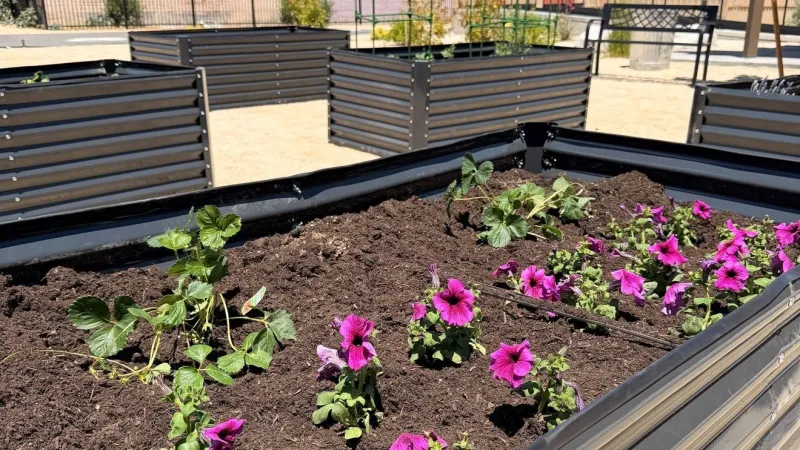Reno names Love Your Block CommUNITY mini-grant recipients for Ward 1 projects