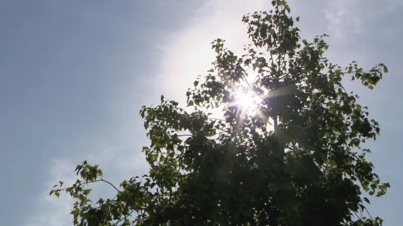 New federal bill targets extreme heat as Northern Nevada faces hotter summer ahead