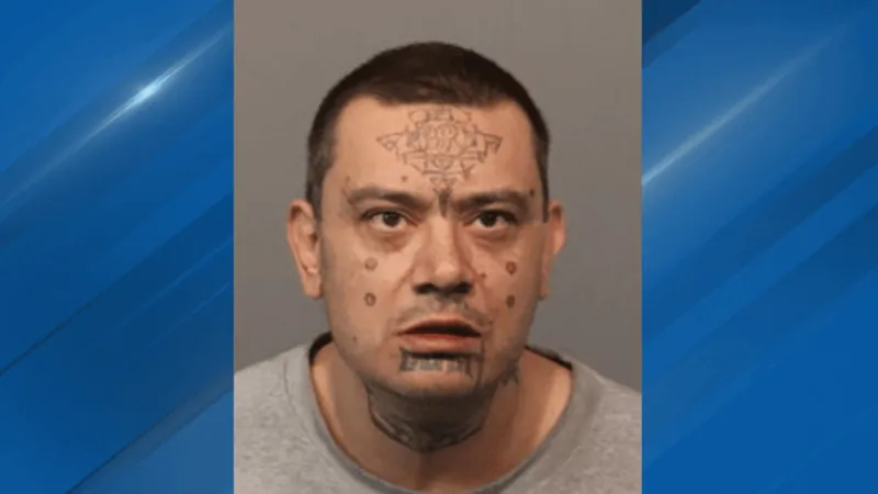 Reno man gets life sentence for 2024 killing of his mother, DA says