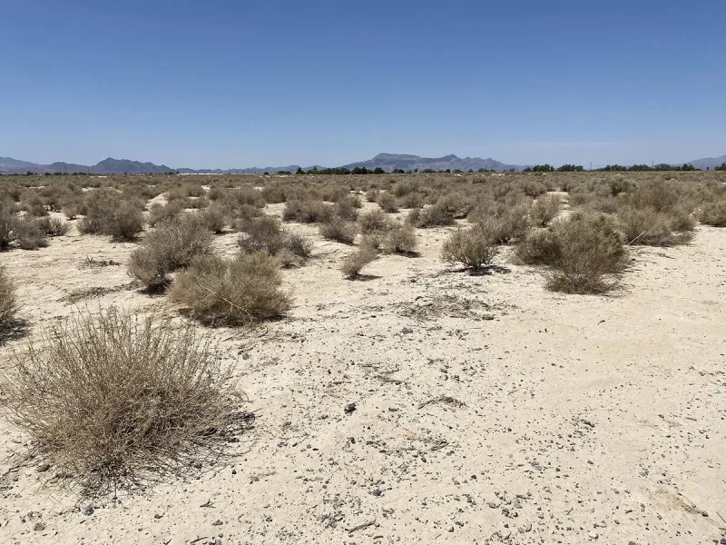 Water board addresses zombie lot working group report