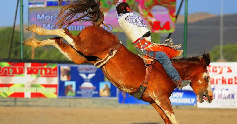 Key players place Stampede on world stage