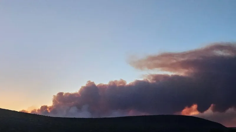 Kane Springs Fire grows to 11,439 acres, 10% contained southwest of Caliente