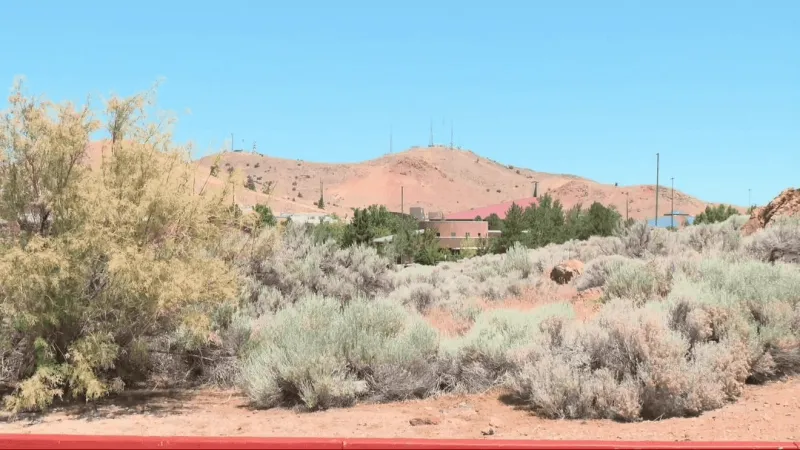 New wildfire rebate program aims to help Tahoe homeowners create defensible space
