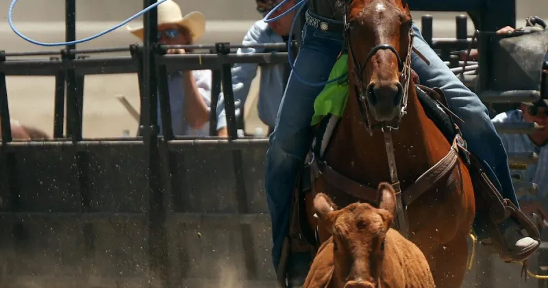 Guns blazing: Williams wins Stampede top honor
