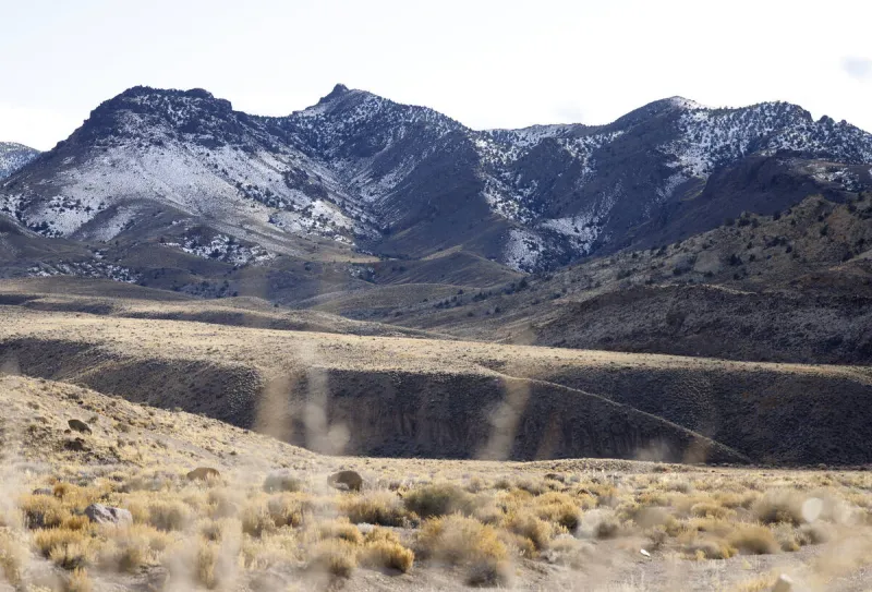 Rhyolite Ridge lithium-boron project has a new investor