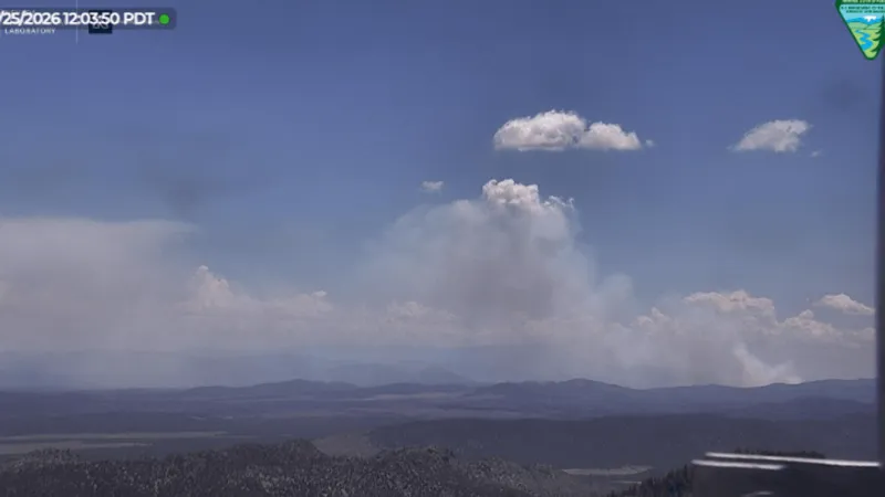 Firefighters battle Grapevine, Kane Springs fires south of Caliente; 0% contained