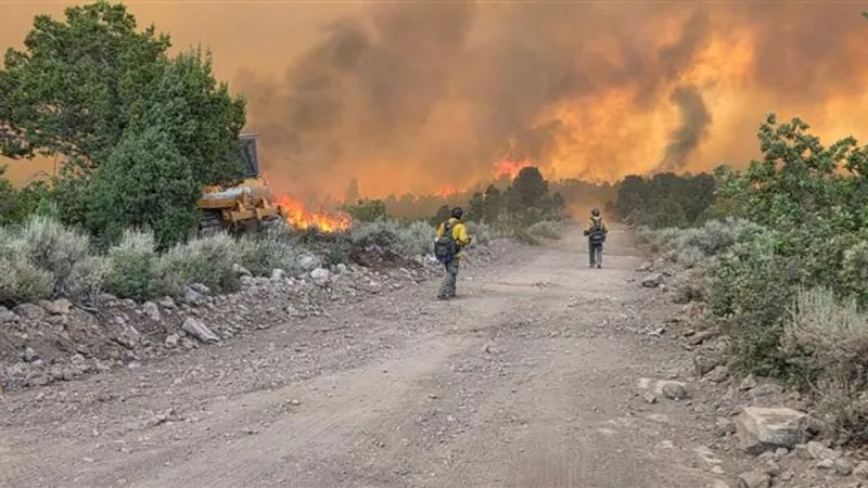 Containment of Kane Springs Fire in Lincoln County reaches 50%, Grapevine Fire still 0%