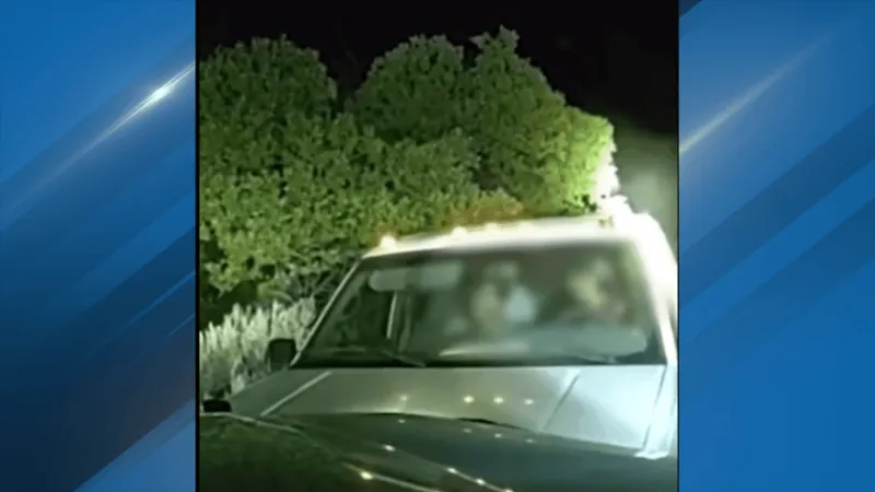 WCSO: Shoplifting investigation leads to crashes, arrests in south Washoe County