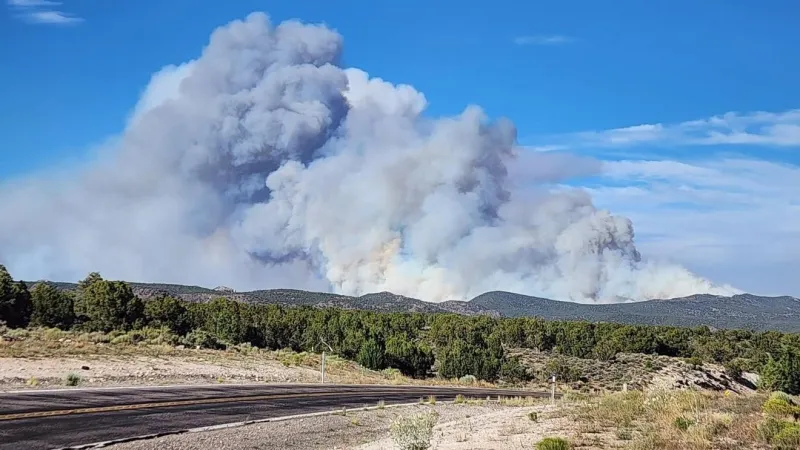 Great Basin raised to Preparedness Level 4 as eastern Nevada wildfire activity climbs