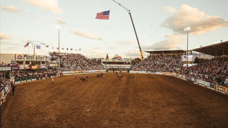 Bull's name changed after backlash over alleged racial slur, Reno Rodeo responds