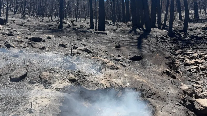 Crews reach 55% containment on Grapevine Fire in Lincoln County