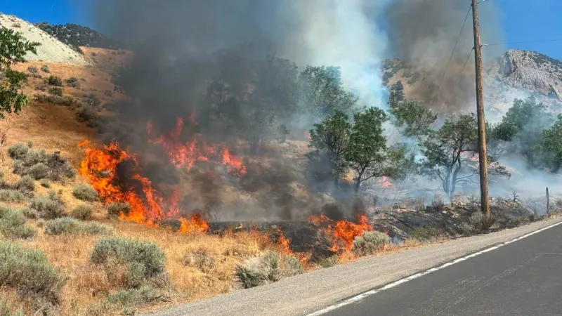 Wildland fire in Gold Hill closes State Route 342, evacuation orders lifted