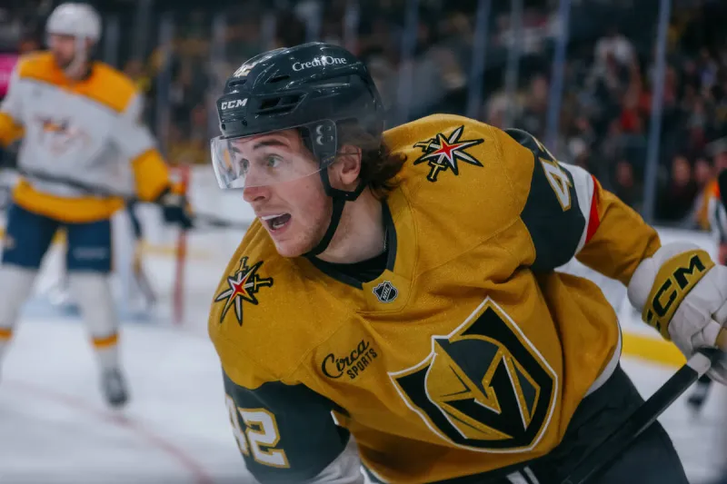 Crystal ball time: A very early look at the Golden Knights' roster next season