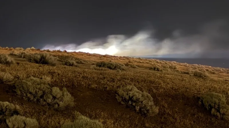 Brush fire burns near TMCC campus in North Reno
