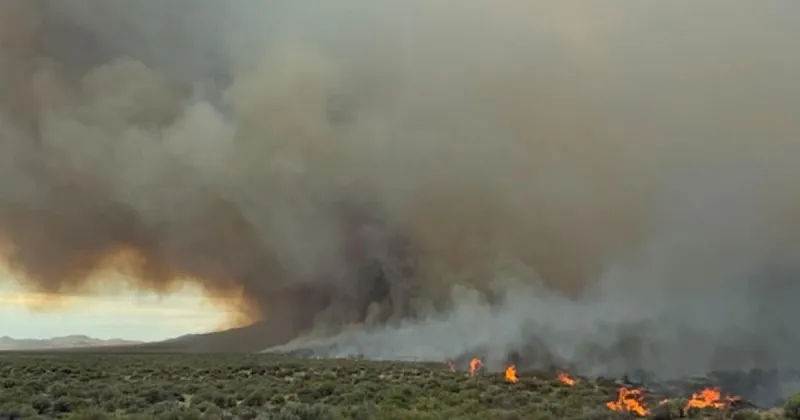 Wildfire near Winnemucca reaches 15,100 acres