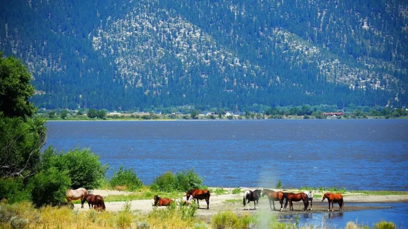 Reno headed for 100-degree high Saturday as weeklong warmup peaks