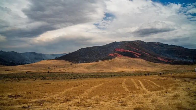 GALLERY: The Elephant Fire burns near California-Nevada border