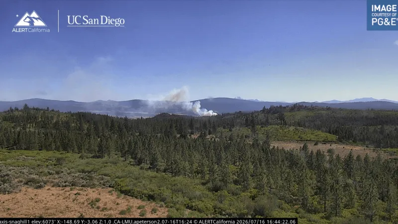 Cal Fire fights 3-6 Fire as blaze grows to about 5 acres