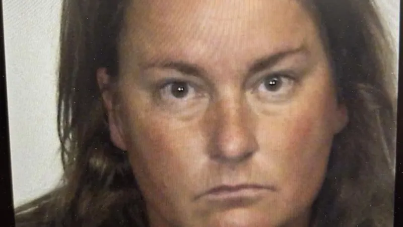Douglas County deputies seek suspect in Caesars Republic valet vehicle burglary case