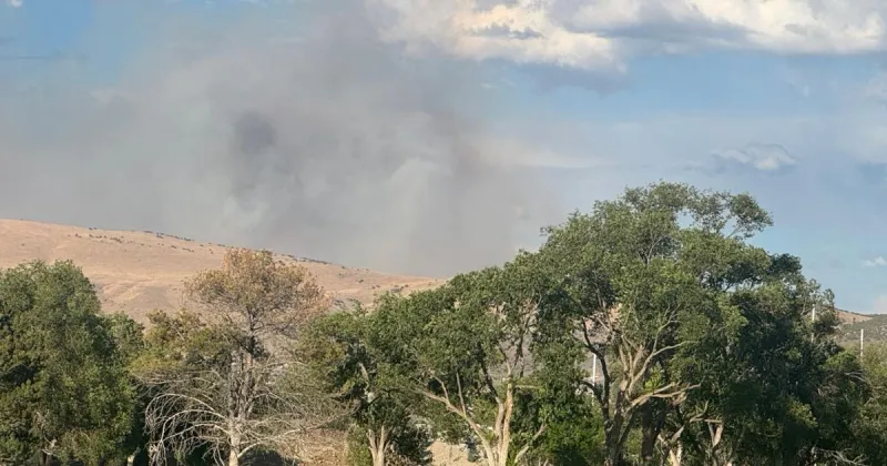 Wildfire burning near Elko Mountain