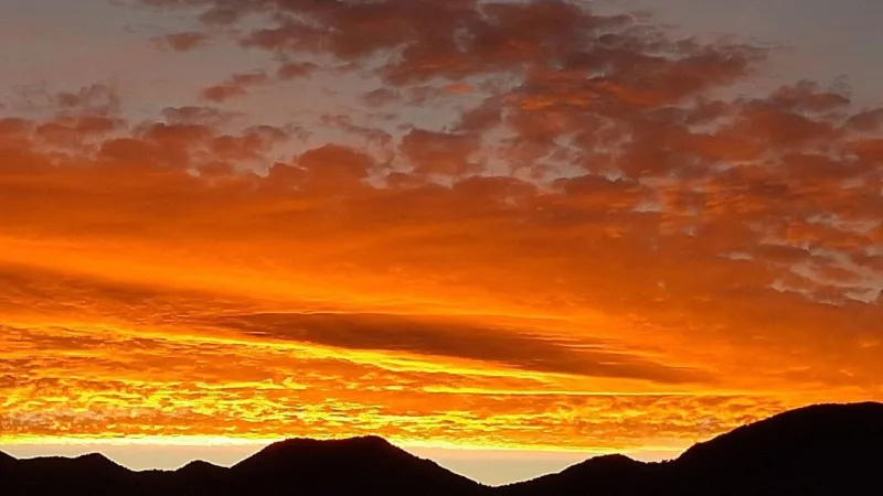Red Flag Warning issued as gusty winds and low humidity raise wildfire risk Sunday