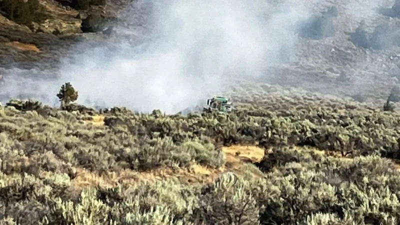 Forward progress stopped on Cold Springs fire