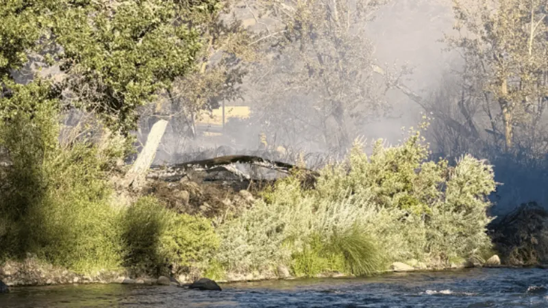 Brush fire reported in west Reno near White Fir Street on Monday