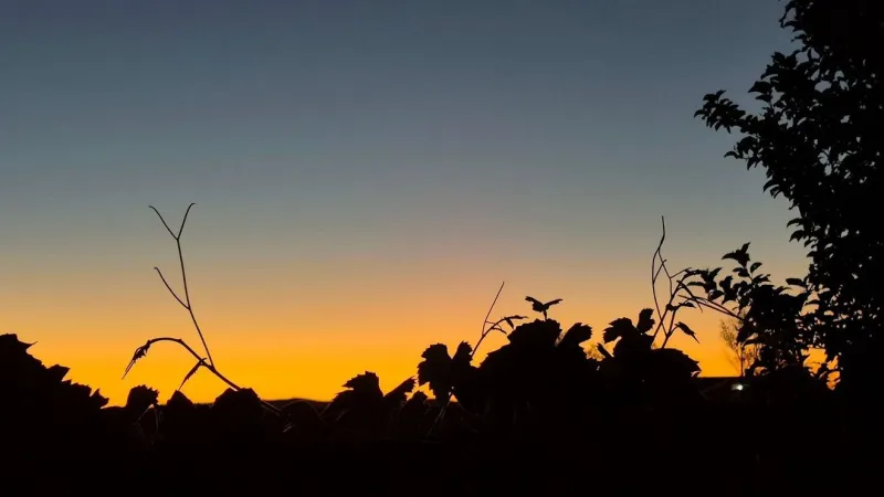 Triple-digit heat returns to Reno, with another 101-degree day forecast Saturday
