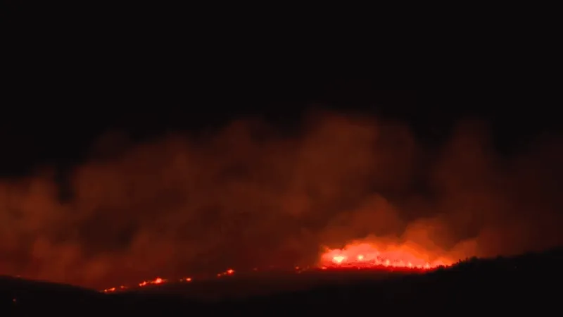 Ringo Fire's forward progress stopped near midnight; mapped out at 150-acres