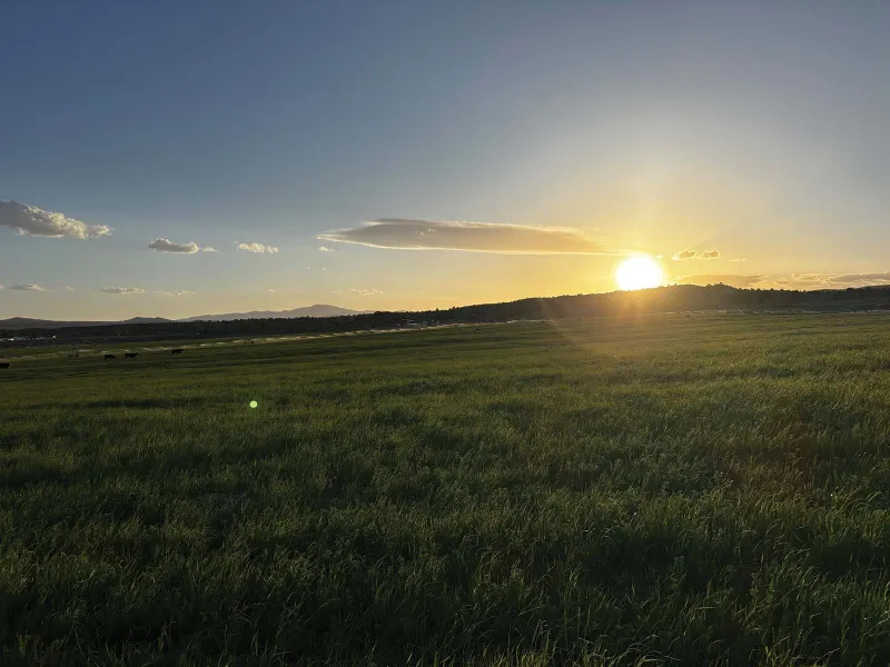 Nevada farmers battle an uncertain harvest