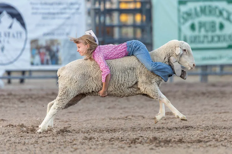 Fair continues through Saturday with rodeo, food and family fun