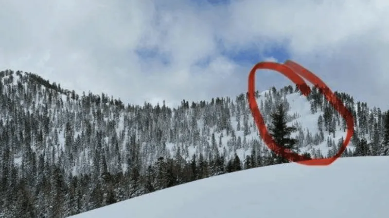 Avalanche victims near Donner Summit last February died of asphyxia