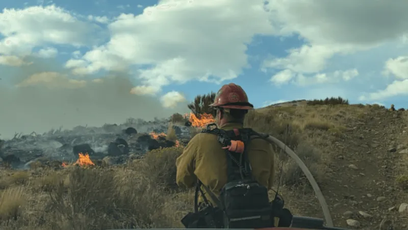 Moose Fire grows to about 70 acres; crews stop forward progress