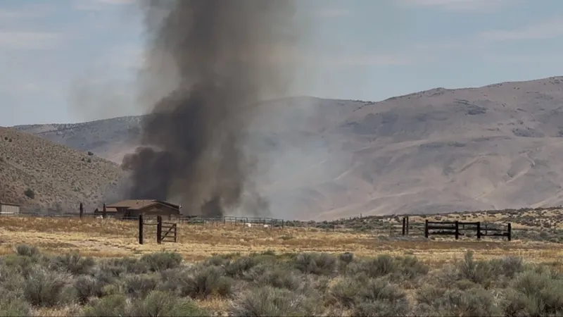 Vegetation fire breaks out near Winnemucca Ranch Road